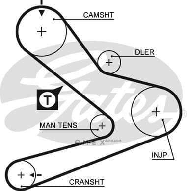 OEM BELT, TIMING 5495XS