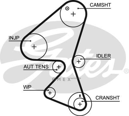 OEM BELT, TIMING 5598XS