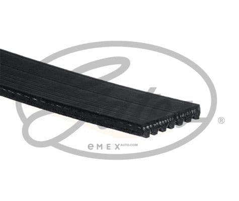 OEM BELT, V 7PK1645