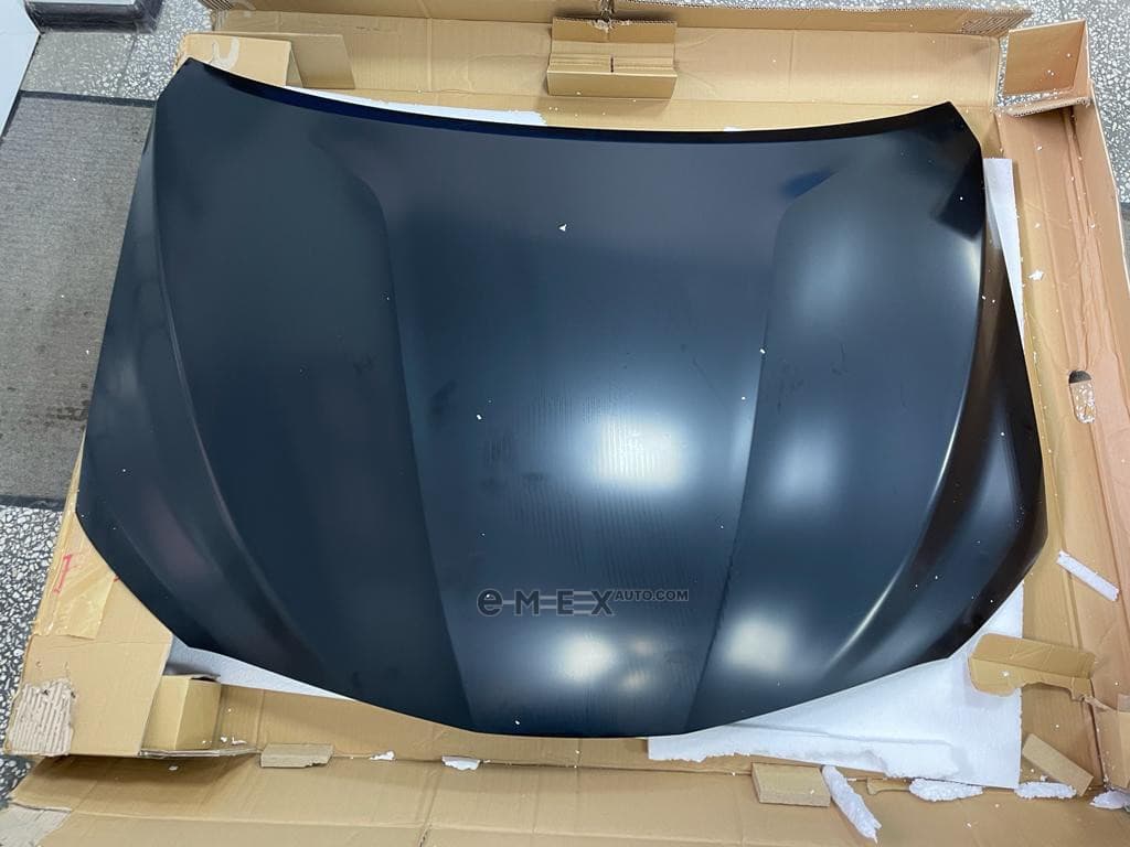 OEM HOOD 5330133230