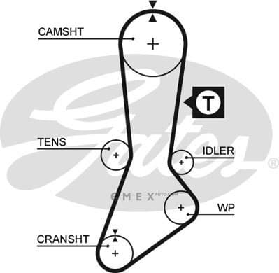 OEM BELT, TIMING 5317XS