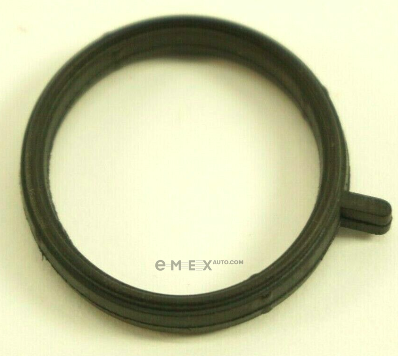 OEM GASKET, PLASTIC 1707323