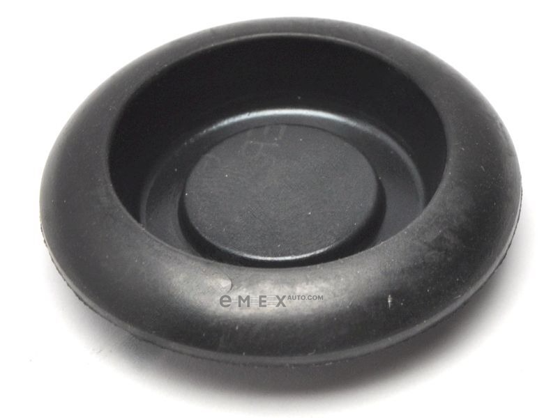 OEM PLUG, HOLE 9095001959