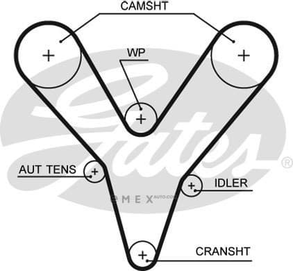 OEM AR-SYNCHRONOUS BELTS 5527XS