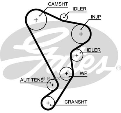 OEM BELT, TIMING 5661XS