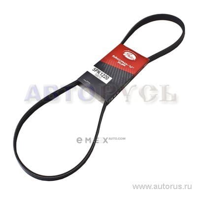 OEM BELT, V 5PK1220