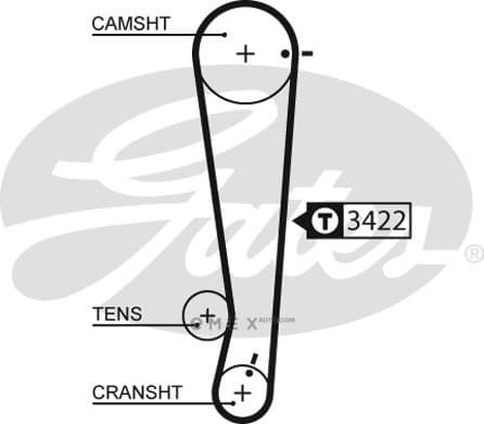 OEM BELT, TIMING 5511XS