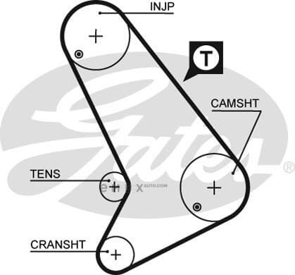 OEM BELT, TIMING 5571XS