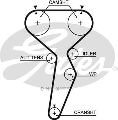 OEM BELT, TIMING 5514XS