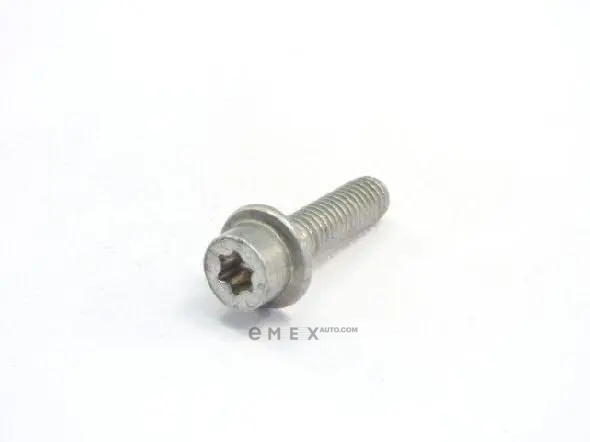 OEM Screw N91180401