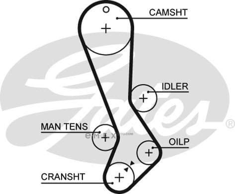 OEM BELT, TIMING 5282XS