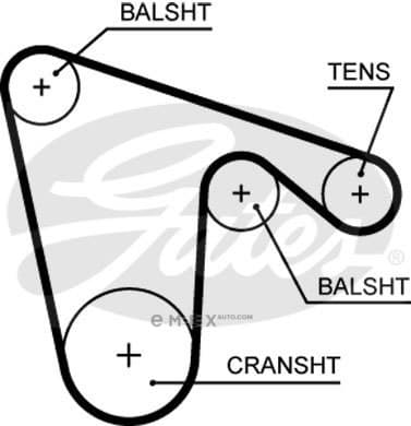 OEM BELT, TIMING 5619XS