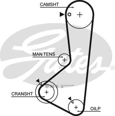 OEM AR-SYNCHRONOUS BELTS 5256XS