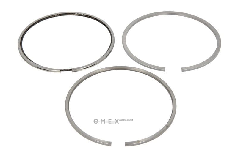 OEM RING SET, PISTON 800079310000