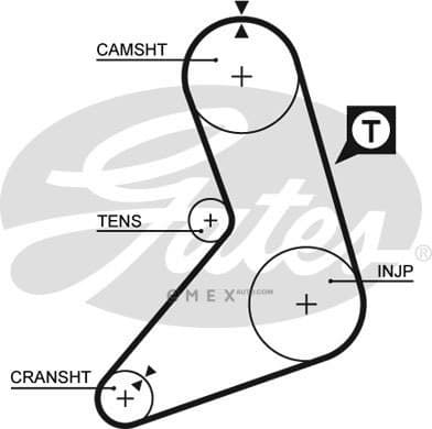 OEM BELT, V 5079