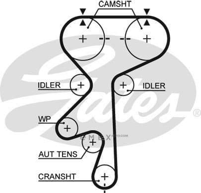 OEM BELT, TIMING 5461XS