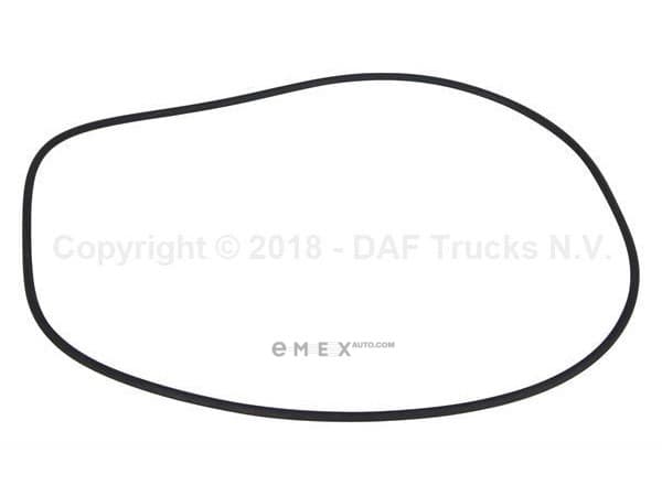 OEM O-RING 0115555