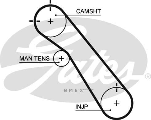 OEM BELT, TIMING 5548XS