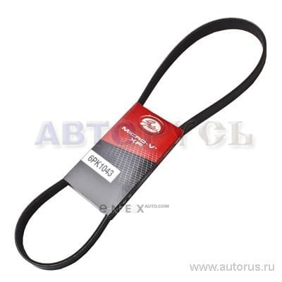 OEM BELT, V 6PK1043