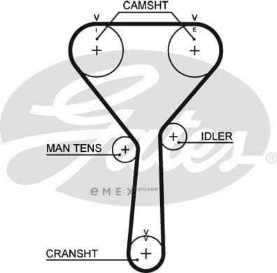 OEM BELT, V 5487XS