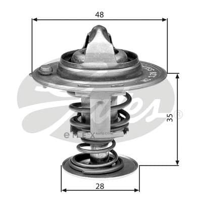 OEM TH30082G1