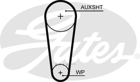 OEM BELT, TIMING 5682XS