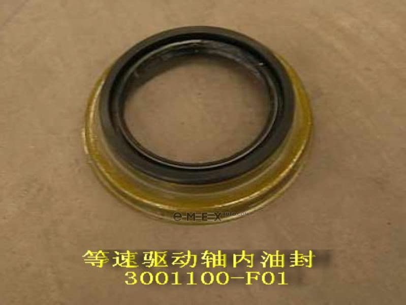 OEM SEAL RING 3001100F01