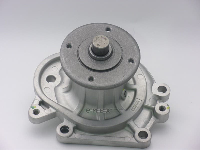 OEM PUMP ASSY, WATE GWT61A