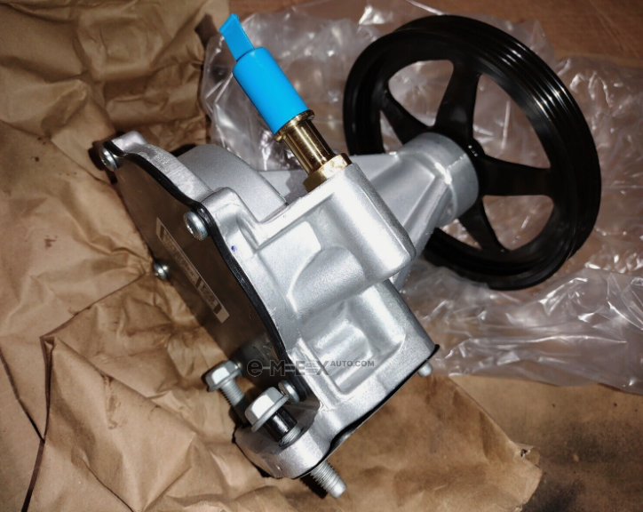 OEM WATER PUMP 12696313