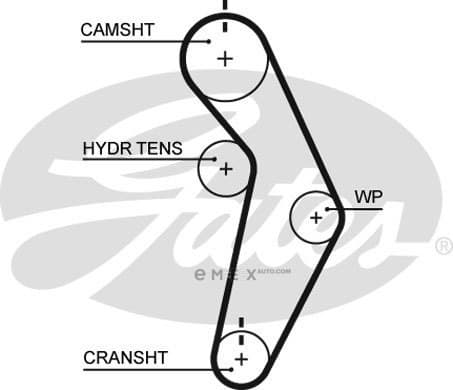 OEM BELT, TIMING T245