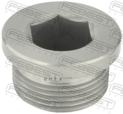 OEM CAP, OIL FILLER 2399004