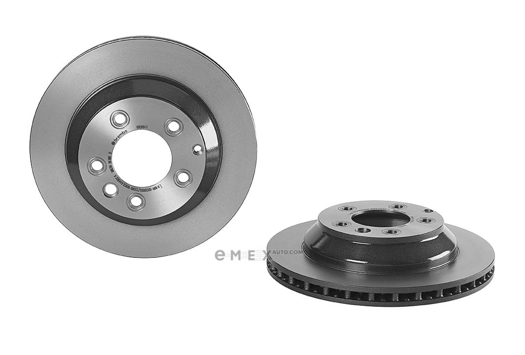 OEM Rear Brake Disc SET 09C88411