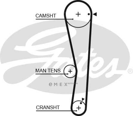 OEM BELT, TIMING 5687XS