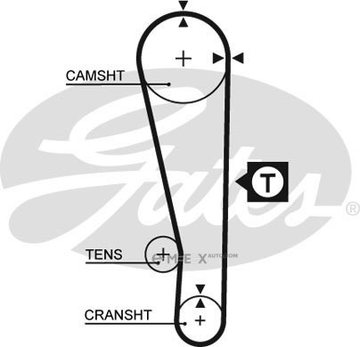 OEM BELT, TIMING 5274XS