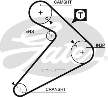 OEM BELT, V 5222