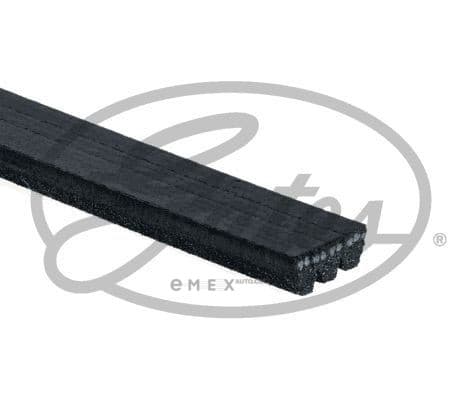 OEM BELT, V 3PK796SF