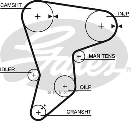 OEM BELT, TIMING 5133