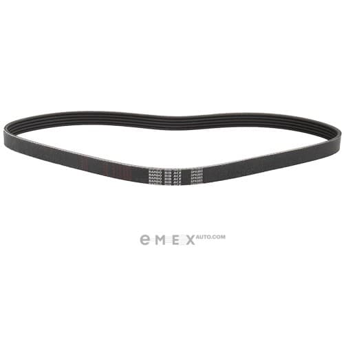 OEM BELT, V 5PK885