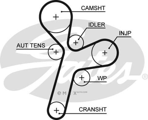 OEM BELT, TIMING 5634XS