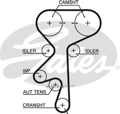 OEM BELT, TIMING 5499XS