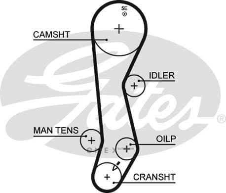 OEM BELT, TIMING 5389XS