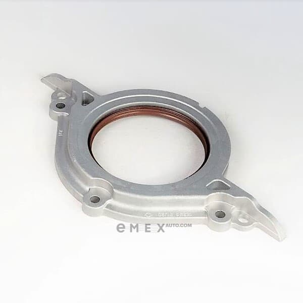 OEM SEAL RING BH5149G0