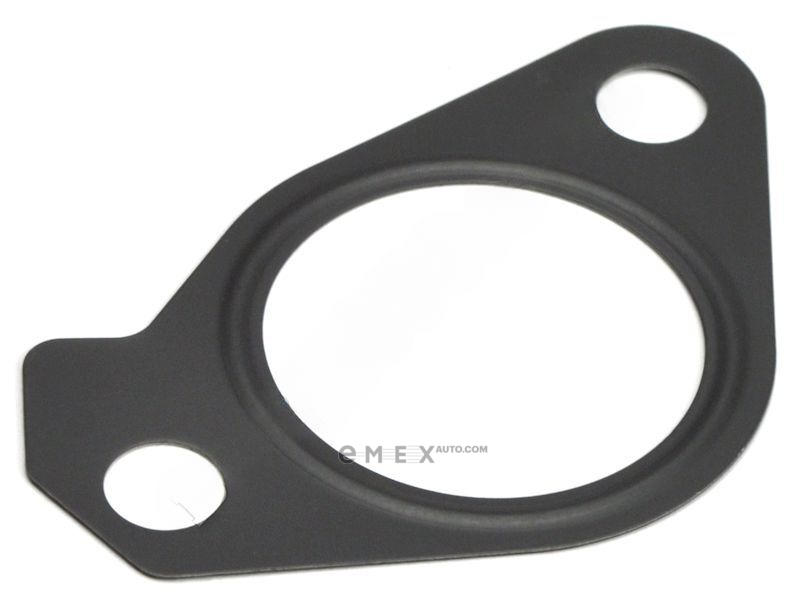 OEM GASKET, WATER 1634715010