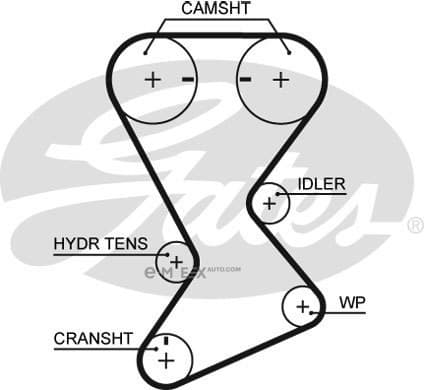 OEM TIMING BELT T246