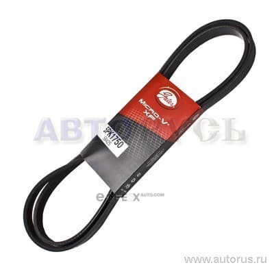 OEM BELT, V 5PK1750