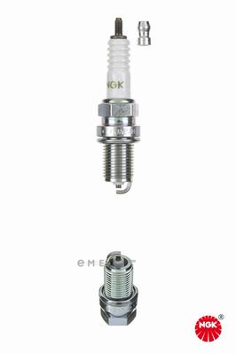 OEM SPARK PLUG 4975