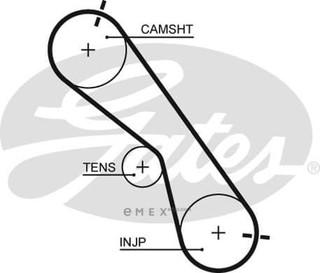 OEM BELT, TIMING 5560XS