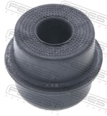 OEM BUSHING, STRUT TSBLC107