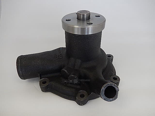 OEM WATER PUMP ASSY GWM95A