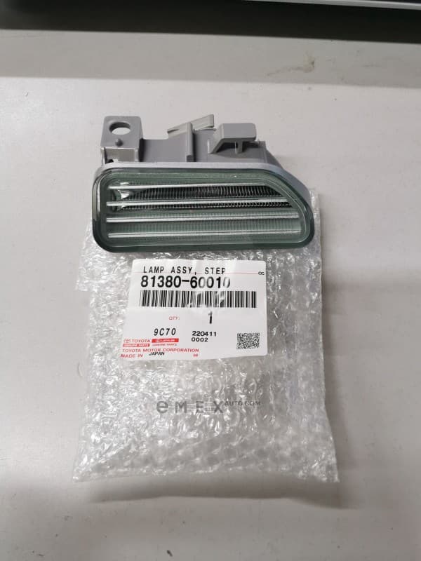 OEM LAMP ASSY, STEP 8138060010